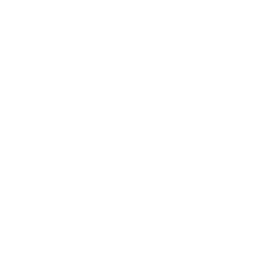 page speed optimization